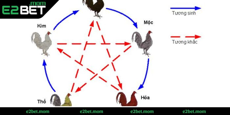 Xem ngày đá gà đẹp thông qua ngũ hành và ngày âm
